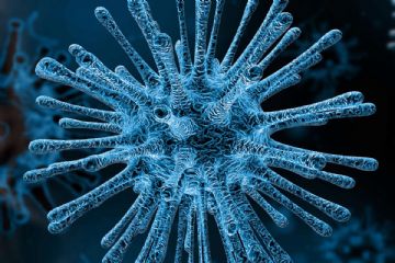 EMERGENZA CORONAVIRUS COVID-19  - ADOZIONE PROVVEDIMENTI