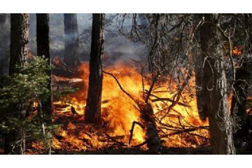 Massima pericolosità incendi boschivi